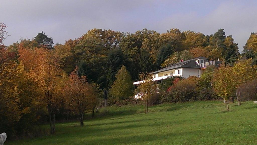 Zum Rebhang Bed & Breakfast Oestrich-Winkel Exterior photo