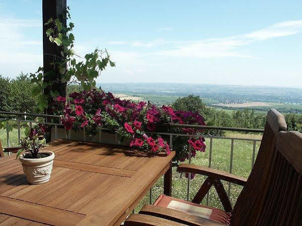 Zum Rebhang Bed & Breakfast Oestrich-Winkel Exterior photo